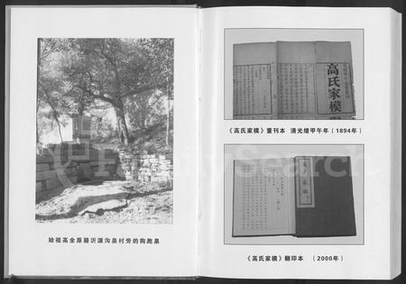 山东高氏-山东省淄博市淄川高氏家模 [不分卷].pdf电子版预览图3