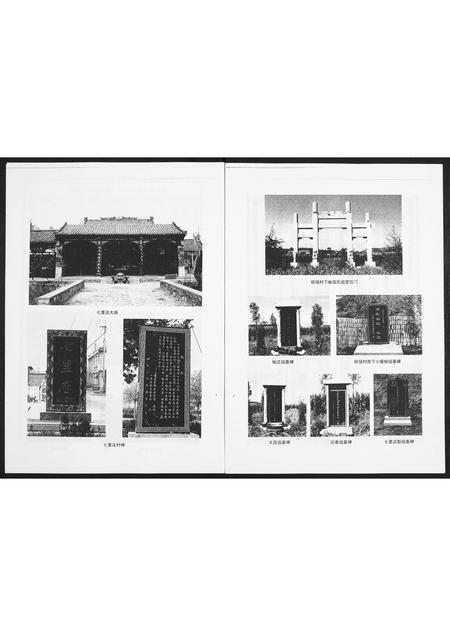 山东高氏-般源高氏族谱.pdf电子版预览图3