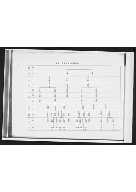 山东高氏-荷花村志.村姜曲辛梁高氏.pdf电子版预览图3