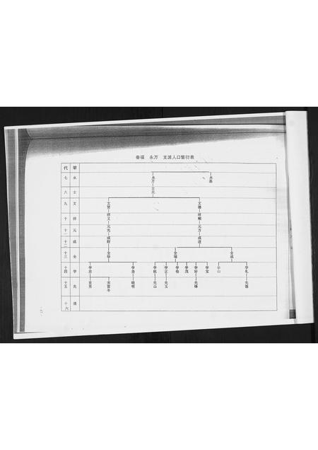 山东高氏-荷花村志.村姜曲辛梁高氏.pdf电子版预览图4