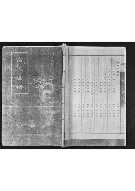 山东高氏-高氏世谱.pdf电子版缩略图
