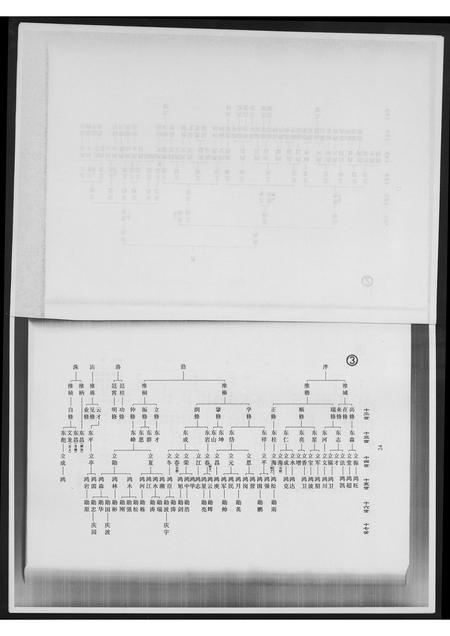 山东高氏-高氏图谱谱说.pdf电子版预览图3