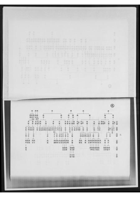 山东高氏-高氏图谱谱说.pdf电子版预览图4