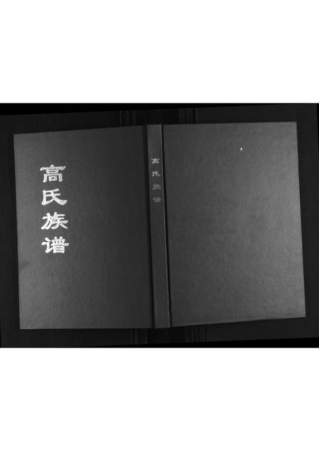 山东高氏-高氏族谱.pdf电子版缩略图