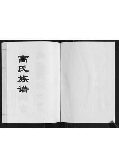 山东高氏-高氏族谱.pdf电子版预览图1