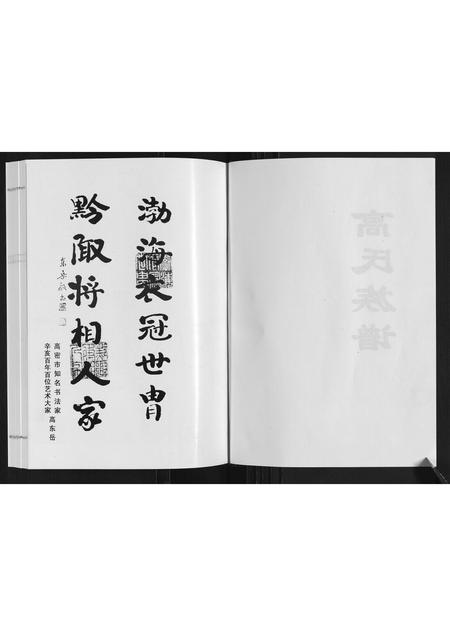 山东高氏-高氏族谱.pdf电子版预览图2