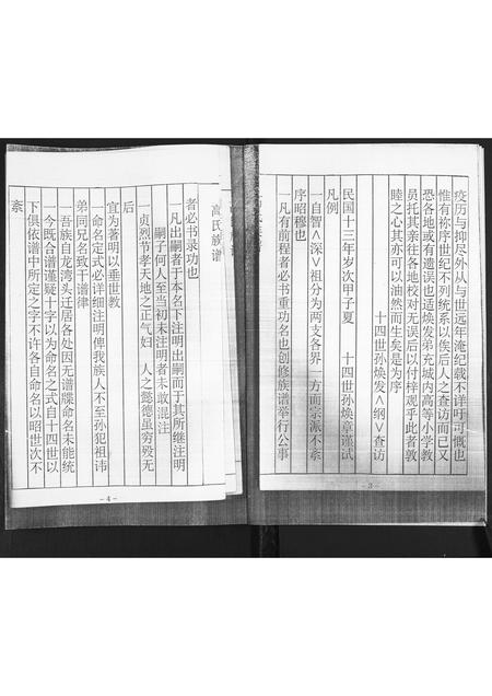 山东高氏-高氏族谱.pdf电子版预览图3