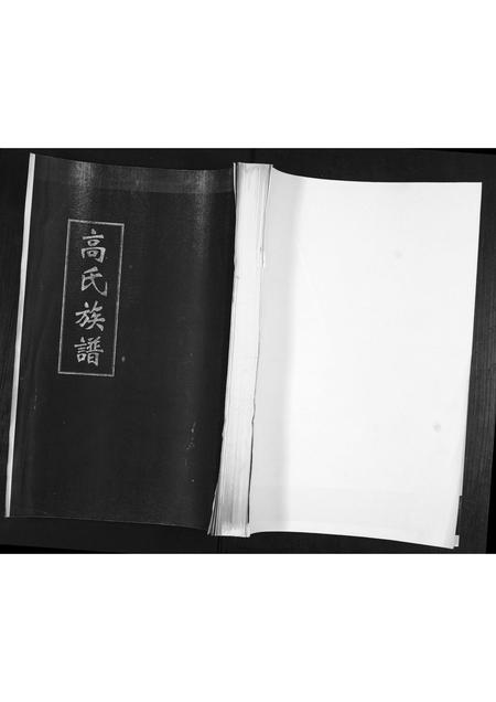 山东高氏-高氏族谱.pdf电子版缩略图