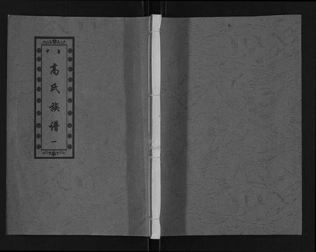 山东高氏-高氏族谱[14卷].pdf电子版缩略图