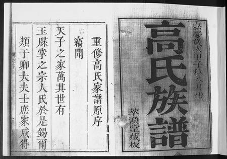 山东高氏-高氏族谱[8卷].pdf电子版预览图1