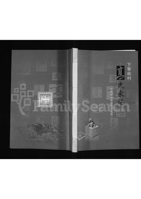 山西高氏-下枣林村高氏家谱 (中阳城内南街高氏支系)(别名：高氏家谱).pdf电子版缩略图