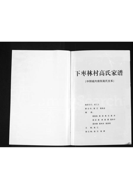 山西高氏-下枣林村高氏家谱 (中阳城内南街高氏支系)(别名：高氏家谱).pdf电子版预览图1