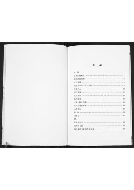 山西高氏-高氏宗谱.pdf电子版预览图2