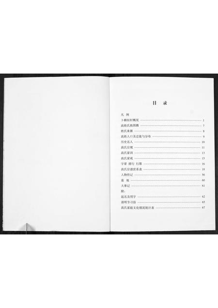 山西高氏-高氏家谱[不分卷].pdf电子版预览图2