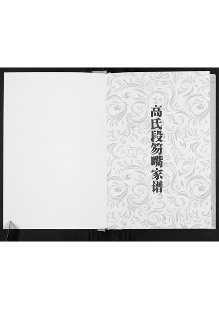 山西高氏-高氏段笏嘴家谱.pdf电子版预览图1