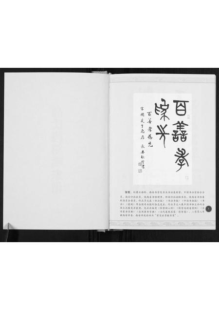 山西高氏-高氏段笏嘴家谱.pdf电子版预览图2