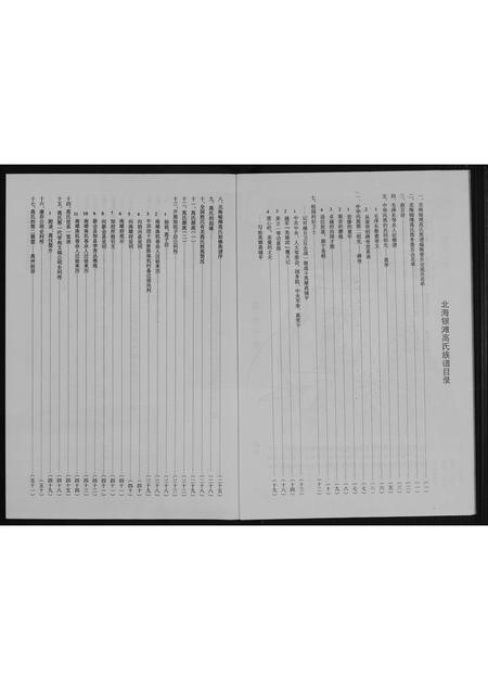 广西高氏-银滩高氏族谱.pdf电子版预览图4