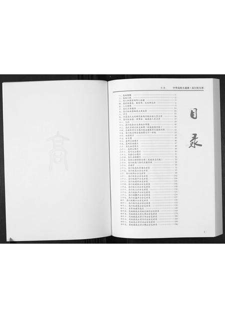 河北高氏-中国高姓大通谱.高行枝支谱.pdf电子版预览图1