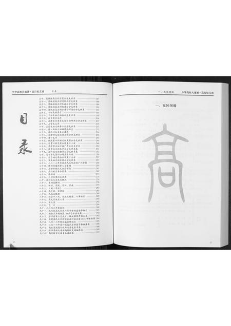 河北高氏-中国高姓大通谱.高行枝支谱.pdf电子版预览图2