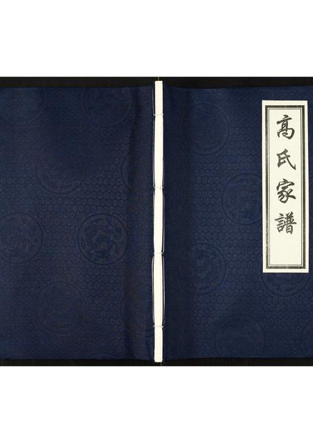 河北高氏-高氏家谱.pdf电子版缩略图