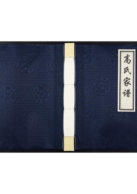 河北高氏-高氏家谱.pdf电子版缩略图