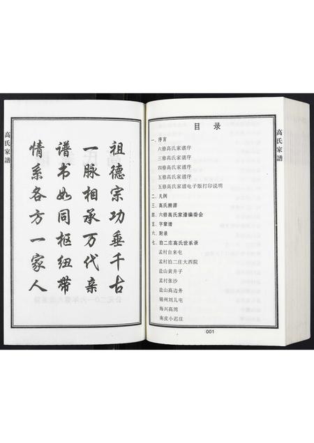 河北高氏-高氏家谱.pdf电子版预览图2