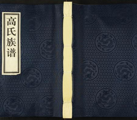河北高氏-高氏族谱.pdf电子版缩略图