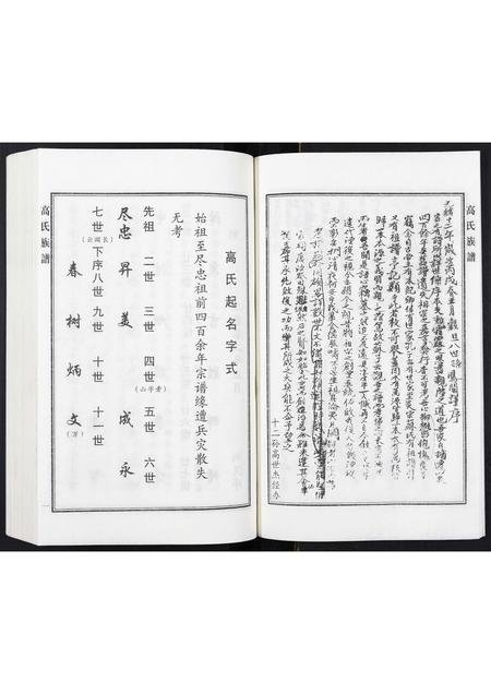 河北高氏-高氏族谱.pdf电子版预览图4