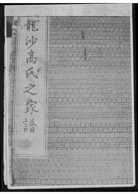 甘肃高氏-高氏前后五代相传世系总谱(别名：龙沙高氏之家谱).pdf电子版预览图1