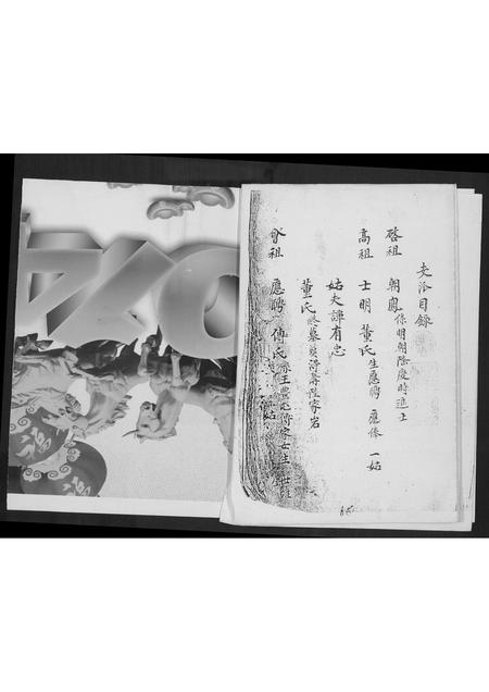 贵州高氏-太平村毛栗坡(高万甫).pdf电子版预览图5