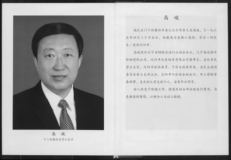 辽宁高氏-高氏家谱.pdf电子版预览图4