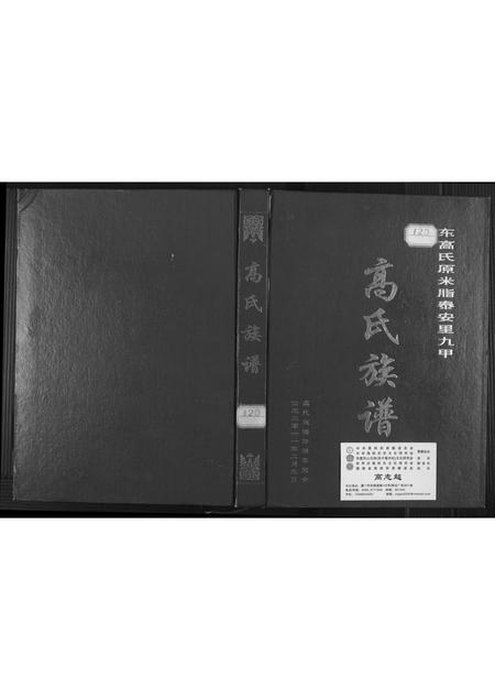 陜西高氏-高氏族谱.pdf电子版缩略图