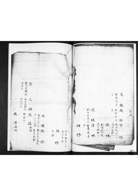 山东葛氏-葛氏家谱书.pdf电子版预览图5