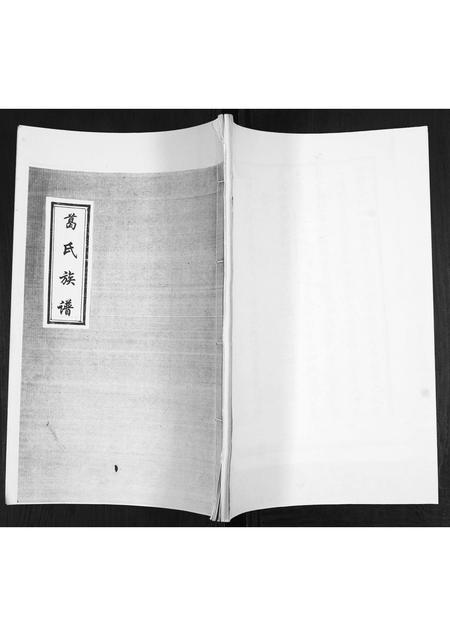 山东葛氏-葛氏族谱.pdf电子版缩略图
