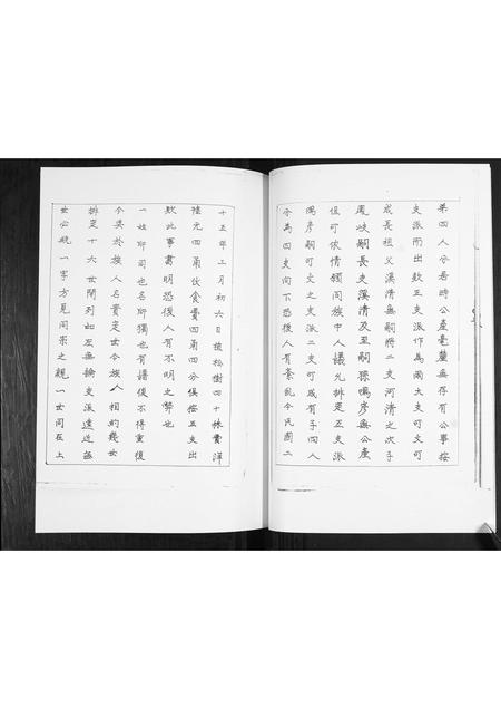 山东耿氏-耿氏族谱.pdf电子版预览图4