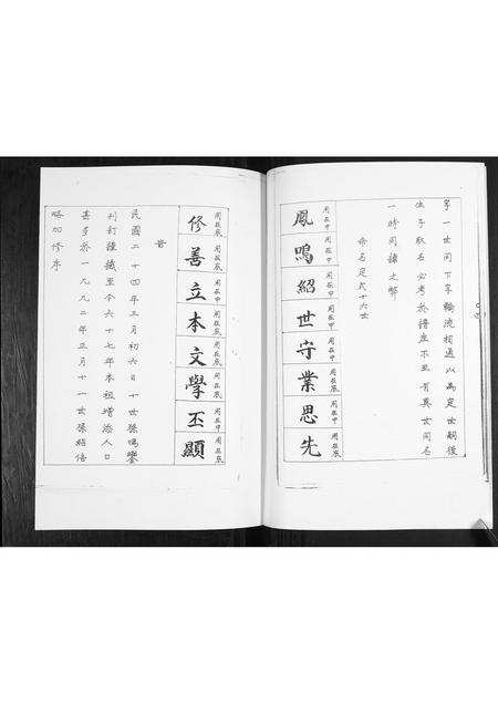 山东耿氏-耿氏族谱.pdf电子版预览图5