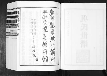 山东巩氏-巩氏世谱[4卷,附1卷].pdf电子版预览图2