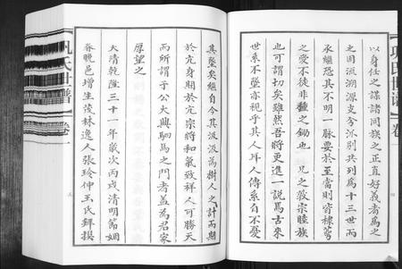 山东巩氏-巩氏世谱[4卷,附1卷].pdf电子版预览图4