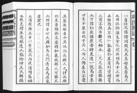 山东巩氏-巩氏世谱[4卷附1卷].pdf电子版预览图3