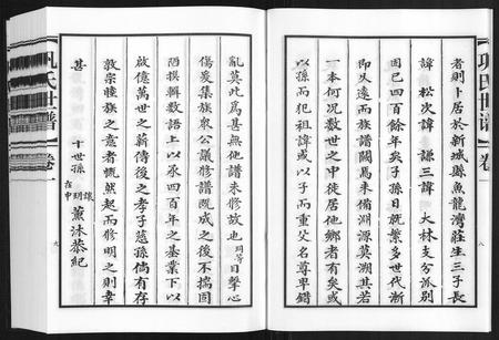 山东巩氏-巩氏世谱[4卷附1卷].pdf电子版预览图5