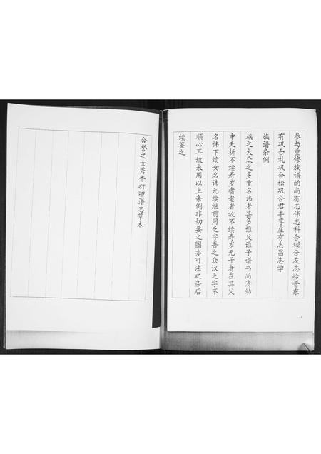 山东巩氏-巩氏族谱志.pdf电子版预览图2