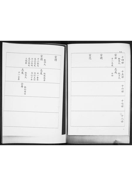 山东巩氏-巩氏族谱志.pdf电子版预览图3