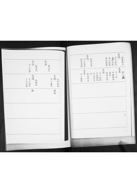 山东巩氏-巩氏族谱志.pdf电子版预览图5