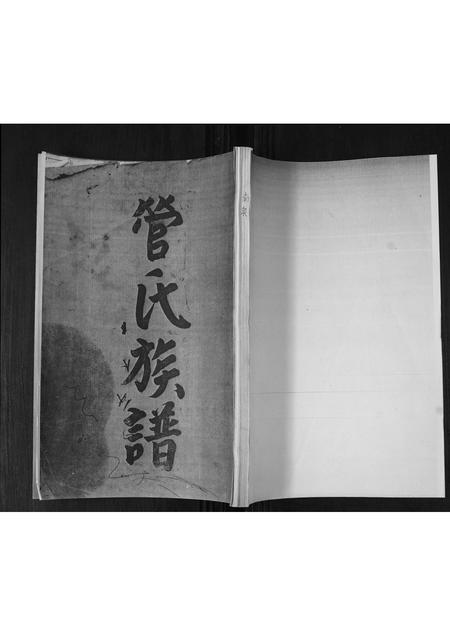 山东管氏-管氏族谱.pdf电子版缩略图