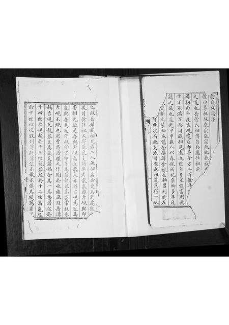 山东管氏-管氏族谱.pdf电子版预览图2