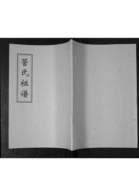 山东管氏-管氏族谱[不分卷].pdf电子版缩略图