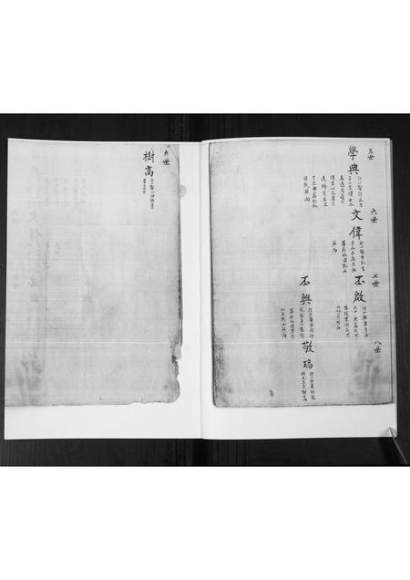 山东管氏-管氏族谱[不分卷].pdf电子版预览图3