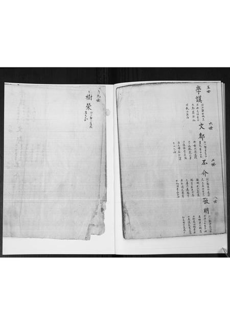 山东管氏-管氏族谱[不分卷].pdf电子版预览图4