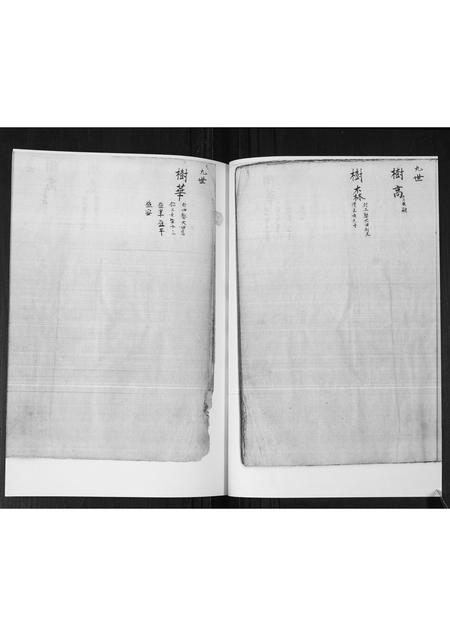 山东管氏-管氏族谱[不分卷].pdf电子版预览图5