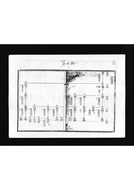 山东管氏-高密管氏家谱 [不分卷](别名：Gaomi Guan Shi Jia Pu).pdf电子版预览图1